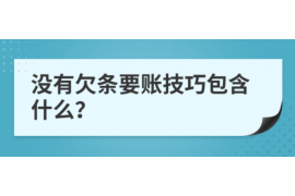 琼山如何避免债务纠纷？专业追讨公司教您应对之策